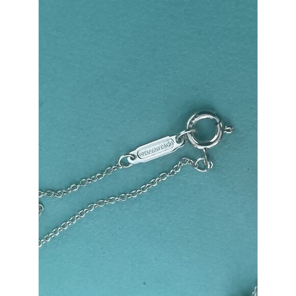 Tiffany & Co. Rubedo Metal Silver Interlocking 1837 Circle Chain Necklace - Picture 11 of 13